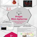 P19 Ensea Mini Apterros Chauvetantoine Lefebvrepierre