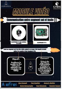 efrei poster module video perseus